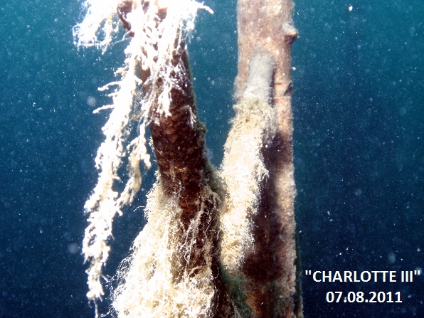 Sundhaeuser See 2011-08-07-05HP